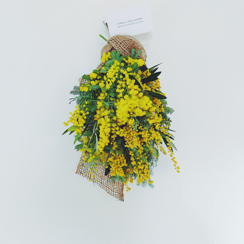 Spring 春のグリーンミモザの蕾のスワッグ32cm