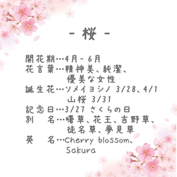 櫻花耳環～四季～（Tsumami Craft *定制） 第4張的照片