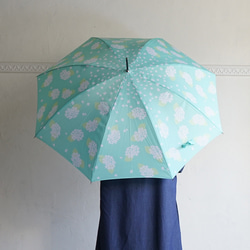 竹傘 繡球花 繡球花 晴雨天都可使用的長傘 ALCEDO 161024 遮陽傘 雨傘 薄荷綠 第9張的照片