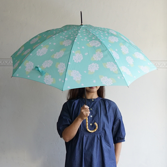 竹傘 繡球花 繡球花 晴雨天都可使用的長傘 ALCEDO 161024 遮陽傘 雨傘 薄荷綠 第1張的照片