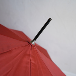 竹傘花盆 紅色 防曬防雨長傘 ALCEDO 161029 陽傘傘 第15張的照片