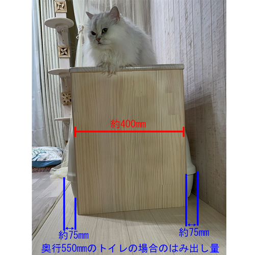 Pety 猫用トイレ カバー付き 2in 猫トイレカバーD400W900H550 ハウス・小屋 youneed 通販