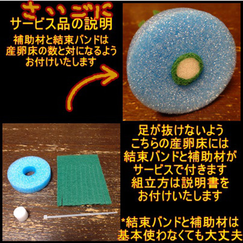 メダカ 産卵床(蛸足) 標準Ver 2セット ※研磨剤未使用 おもちゃ・ペット