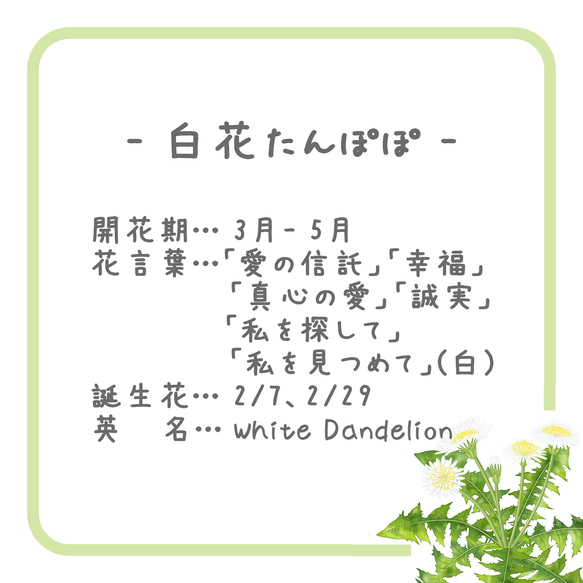 [面具用]白花蒲公英和三葉草胸針～四季彩～（Tsumami作品*定制） 第6張的照片