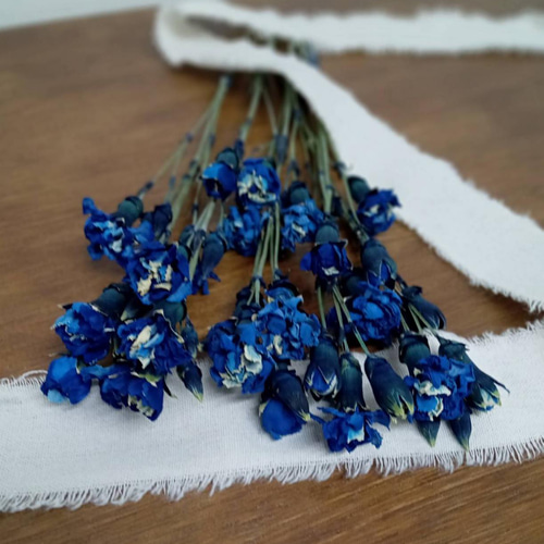 ドライフラワー スプレーカーネーション染めロイヤルブルー