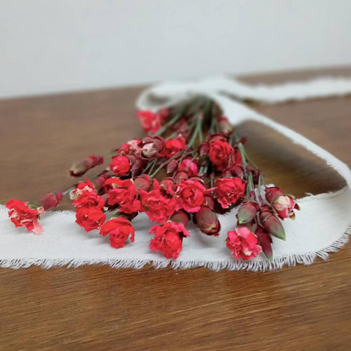 ドライフラワー スプレーカーネーション染めレッド その他素材 Rose 