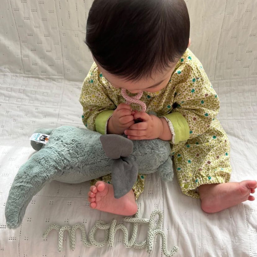 ウールレター【マンスリーセット】