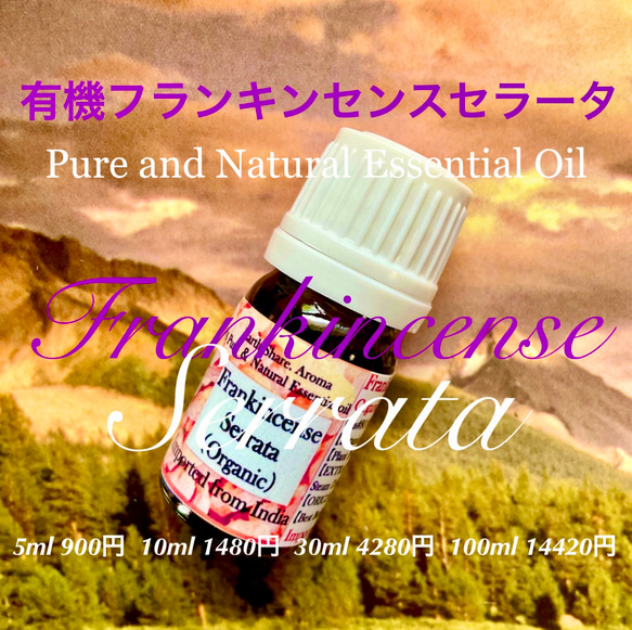 有機フランキンセンスセラータ（インド乳香）精油10ml 2枚目の画像