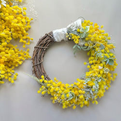 ご注文翌日発送】ミモザのリース ドライフラワー（直径26cm） リース