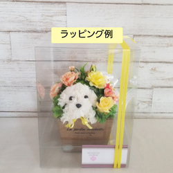カーネーションの犬【花畑・イエロー】プリザーブドフラワー 花 犬 ペット 母の日 誕生日 お供え フラワーギフト 8枚目の画像