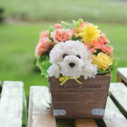 カーネーションの犬【花畑・イエロー】プリザーブドフラワー 花 犬 ペット 母の日 誕生日 お供え フラワーギフト 1枚目の画像