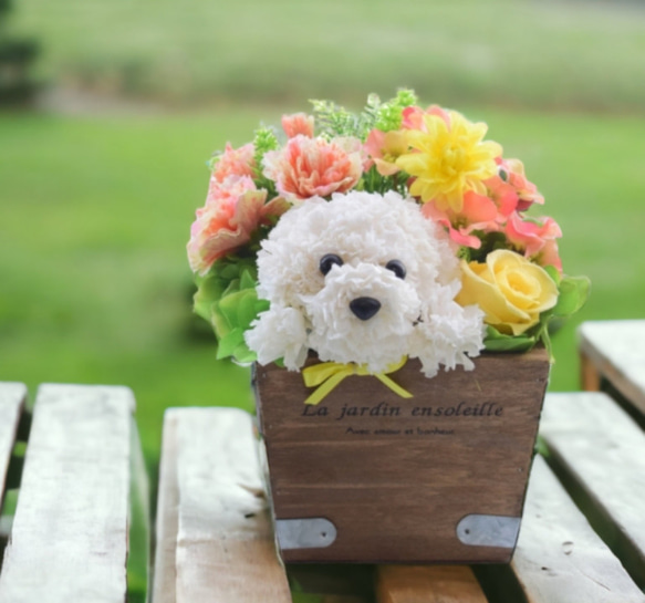 カーネーションの犬【花畑・イエロー】プリザーブドフラワー 花 犬 ペット 母の日 誕生日 お供え フラワーギフト 1枚目の画像