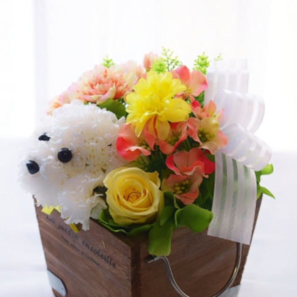 カーネーションの犬【花畑・イエロー】プリザーブドフラワー 花 犬 ペット 母の日 誕生日 お供え フラワーギフト 4枚目の画像