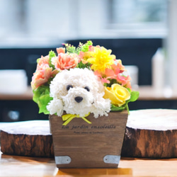 カーネーションの犬【花畑・イエロー】プリザーブドフラワー 花 犬 ペット 母の日 誕生日 お供え フラワーギフト 7枚目の画像