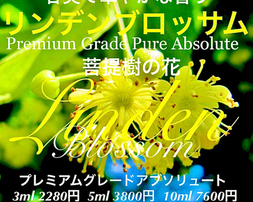 リンデンブロッサム 351f4716d614649ea35a59756cb9df