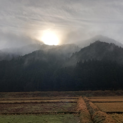 No40【コロコロやってくる】ワゴン、キャビネット、棚、引き出し2段、天然木、無垢、キャスター付き 11枚目の画像