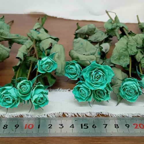 ドライフラワースプレーバラ染めミントグリーン ドライフラワー Rose