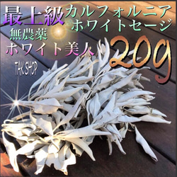 ✴︎最上級✴︎カルフォルニアホワイトセージ 20g 箱に入れて発送します。 1枚目の画像