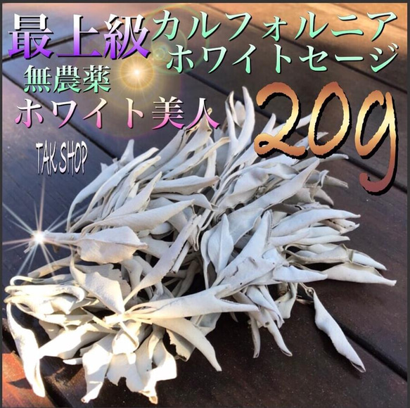 ✴︎最上級✴︎カルフォルニアホワイトセージ 20g 箱に入れて発送します。 1枚目の画像