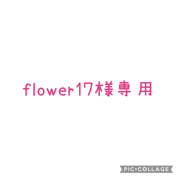 flower様専用 1枚目の画像