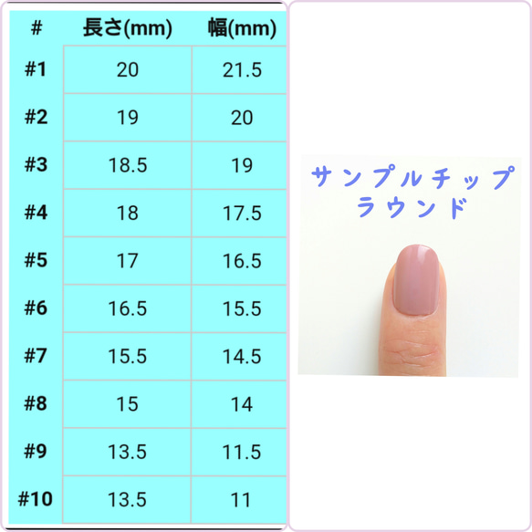 【送料無料】サイズ確認用のサンプルチップ（ラウンド） 3枚目の画像