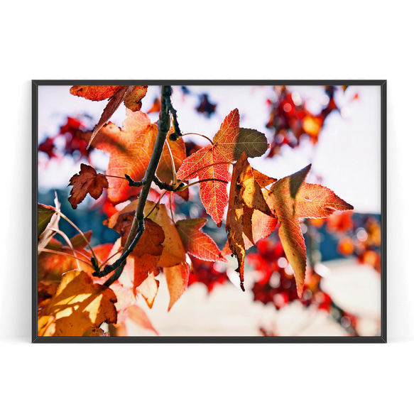 葉のモノクロアート フォトフレーム 2枚セット 葉のモノクロアート フォトフレーム 2枚セット フォトフレーム 2枚(2面