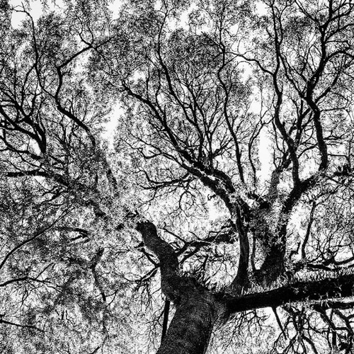 モノクロ抽象画 A4サイズ 木製フレーム モノクロ抽象画 A4サイズ 木製フレーム 額付 アートポスター アート