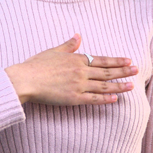 翼リング 指輪 シルバー925 【刻印無料】 ウィング 翼 羽根 羽 リング