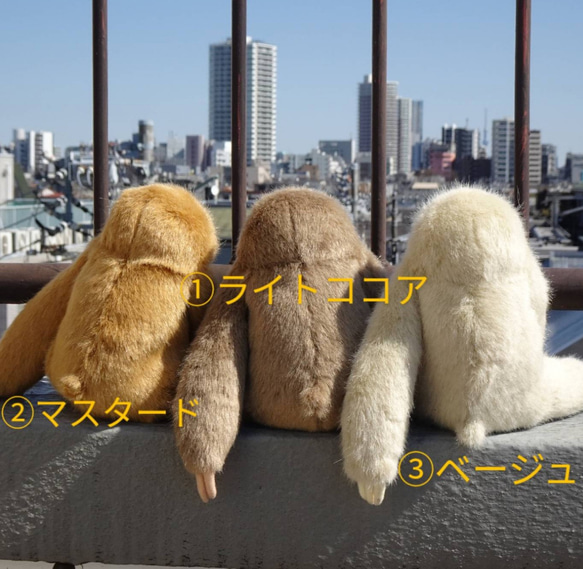 ちょっと大きい三色ナマケモノ＊モフモフ(1ヶ月以内発送) 2枚目の画像