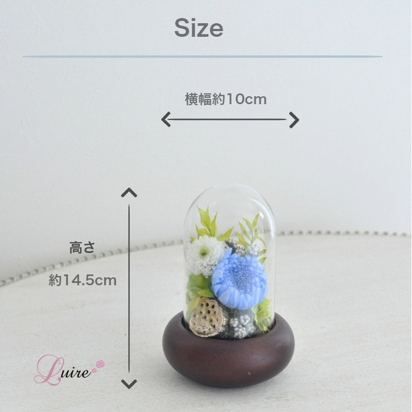 【人気ドーム仏花の色違い登場！】 輪菊の美しいガラスドーム付きプリザーブドフラワー仏花、お供え花 10枚目の画像