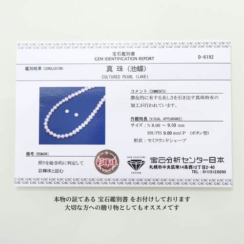 人気No.1◇プレゼント付】送料無料|鑑別書付|池蝶本真珠パール 人気No.1◇プレゼント付】送料無料|鑑別書付|池蝶本真珠パール