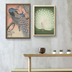【NO.37】白い孔雀の日本画アートポスター和柄☆お正月鳥和モダン和室インテリア雑貨☆ハガキA4A3A2A1B4B3B2 10枚目の画像