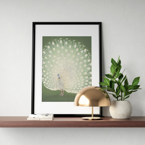 NO.37】白い孔雀の日本画アートポスター和柄☆お正月鳥和モダン和室