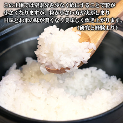 新米 ミルキークイーン 10kg お米 無洗米 白米 玄米 令和5年 栃木県産 低農薬 減化学肥料 米 こめ コメ 贈答 9枚目の画像