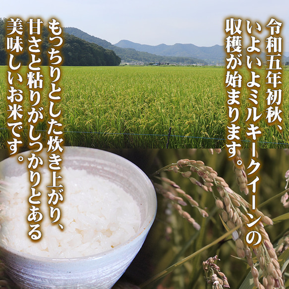 新米 ミルキークイーン 10kg お米 無洗米 白米 玄米 令和5年 栃木県産 低農薬 減化学肥料 米 こめ コメ 贈答 2枚目の画像