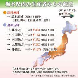 新米 こしひかり 10kg お米 コシヒカリ 無洗米 白米 玄米 令和5年 栃木産 低農薬 減化学肥料 米 こめ 11枚目の画像