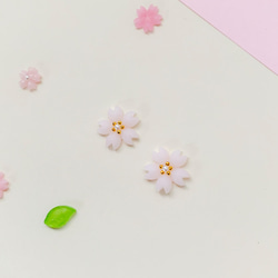 ✿桜のピアス 春*✧ほんのり桜色 4枚目の画像