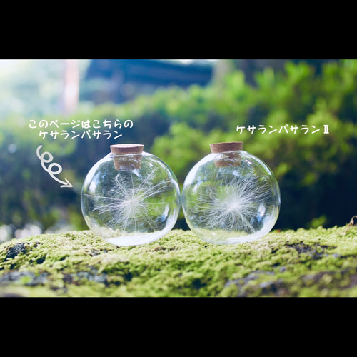 ケサランパサラン 丸瓶 送料無料 ※発送日程要確認 その他インテリア