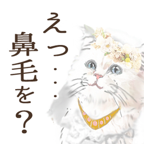コンビニ印刷予約します】物語を秘めた♡婚姻届~にゃんともお洒落な 