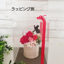 ★送料無料 花と猫【イエロー&ブルー】プリザーブドフラワー 猫 花 ペット 猫好き 誕生日 お供え カーネーション 8枚目の画像
