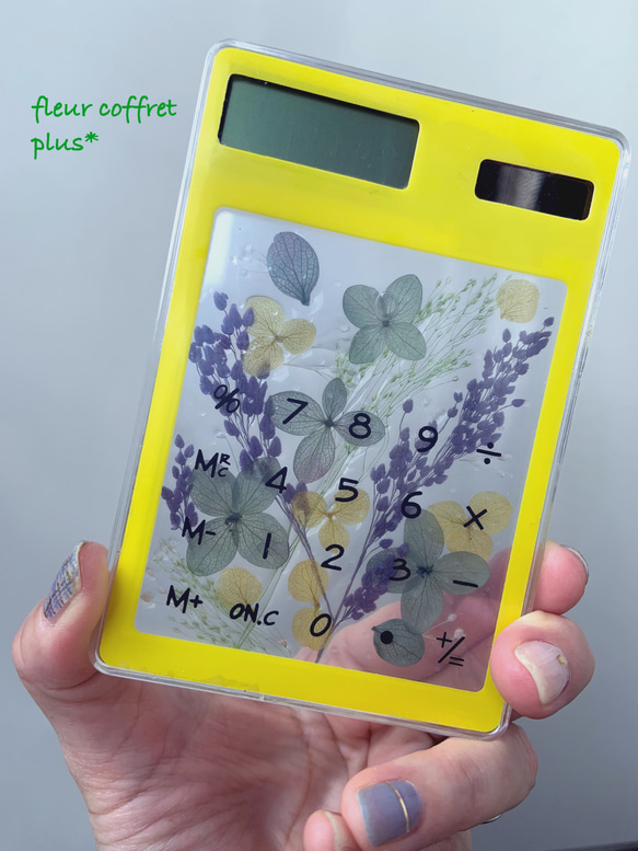 てのひらミニアート 星は渡る （札幌市立東苗穂小学校-ニュース  