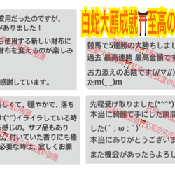 １個分≪3号〜27号≫強力な白蛇の指輪お守り【定期的ご祈願ご祈祷済み】御神環 白蛇の抜け殻 メモリーオイル 財布にも 4枚目の画像