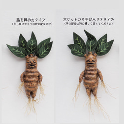 夢見るマンドレイクのブローチ（ボックス付き） 6枚目の画像