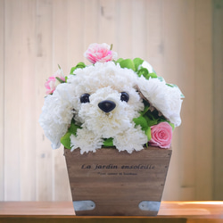 フラワーペット【プードル 白】プリザーブドフラワー 犬 花 動物