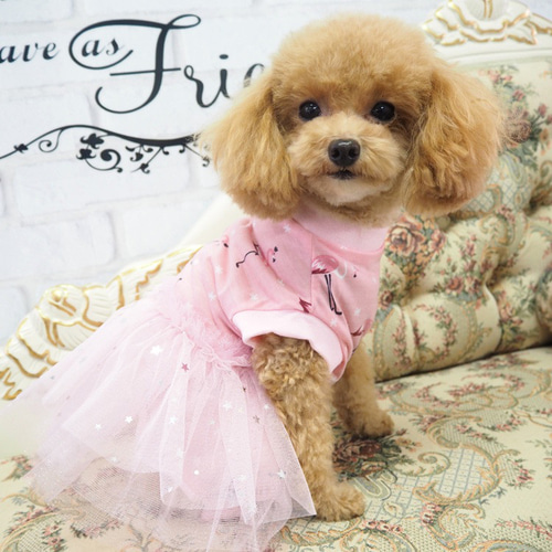 犬服 SS わんこの普段着　野いちごフレーズ　ピンク KM967Tイチゴ柄 犬服 タンクトップ 春 かわいい フレブル パグ