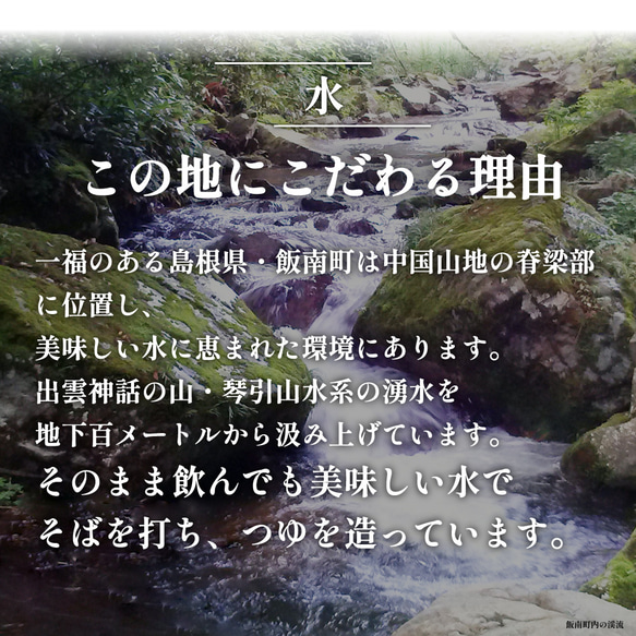 母の日 父の日 ギフト プレゼント 出雲そば 6人前【本生出雲そば】つゆ付 生そば お取り寄せ グルメ 贈答用 04 7枚目の画像