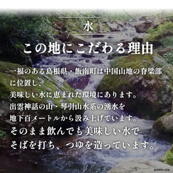 出雲そば 8人前【本生出雲そば】つゆ付 生そば お取り寄せ グルメ ギフト 贈答用 011 7枚目の画像