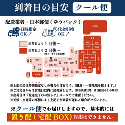 出雲そば 8人前【本生出雲そば】つゆ付 生そば お取り寄せ グルメ ギフト 贈答用 011 16枚目の画像