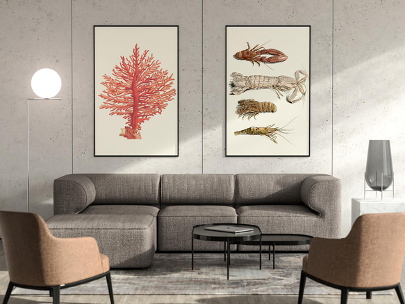 【NO.48】赤珊瑚インテリアアートポスター☆コーラル海の生き物マリンヴィンテージレトロ夏★ハガキ2LA4A3A2A1 13枚目の画像