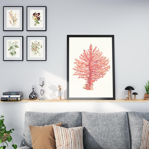 サンゴ　インテリア Amazon.co.jp: 珊瑚 サンゴ オブジェ F 水槽 アクアリウム